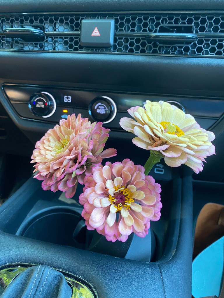 Cut flowers in a car's cupholder